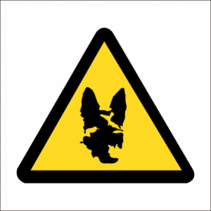 beware-of-dog-