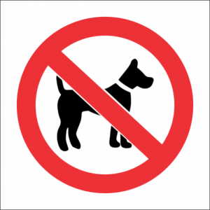 no-dogs-allowed